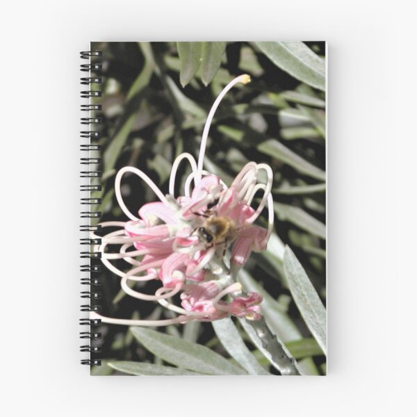 Item preview, Australian Spider flower (Grevilleas) and Bee designed and sold by MottoDigging.