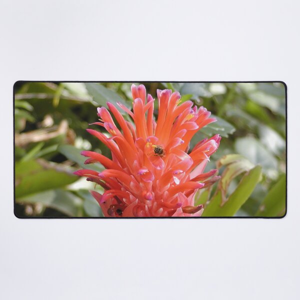 Item preview, Australian Native Flower with Bees designed and sold by MottoDigging.