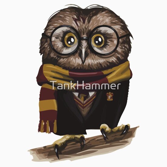 Harry Potter: T-Shirts | Redbubble