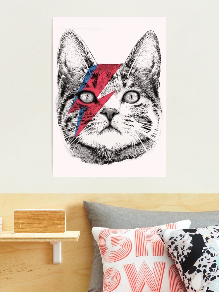 Ziggy Stardust Cat , David Bowie, Wo