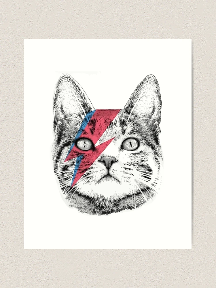 Ziggy Stardust Cat , David Bowie, Wo