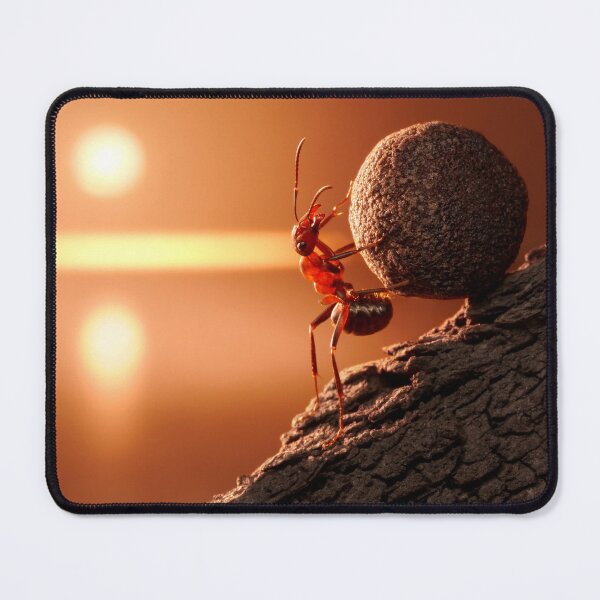 Item preview, ant photo with high resolution quality designed and sold by Allyouneed-2.