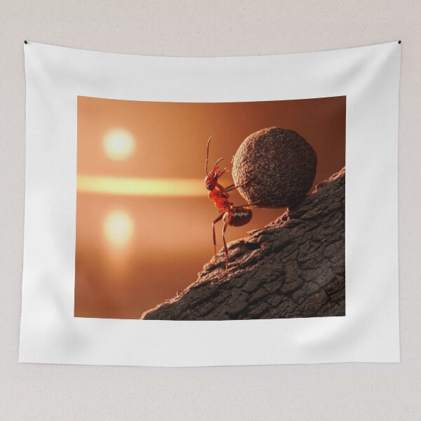 Item preview, ant photo with high resolution quality designed and sold by Allyouneed-2.