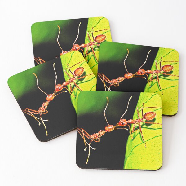 Item preview, ant photo with high resolution quality designed and sold by Allyouneed-2.