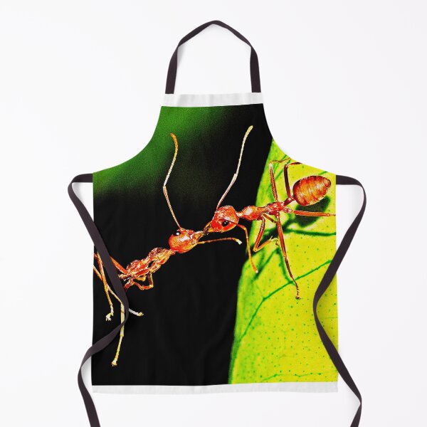 Item preview, ant photo with high resolution quality designed and sold by Allyouneed-2.