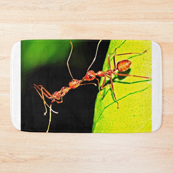 Item preview, ant photo with high resolution quality designed and sold by Allyouneed-2.