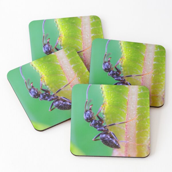 Item preview,  ant photo with high resolution quality designed and sold by Allyouneed-2.