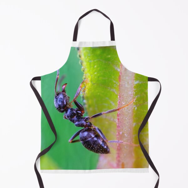 Item preview, ant photo with high resolution quality designed and sold by Allyouneed-2.