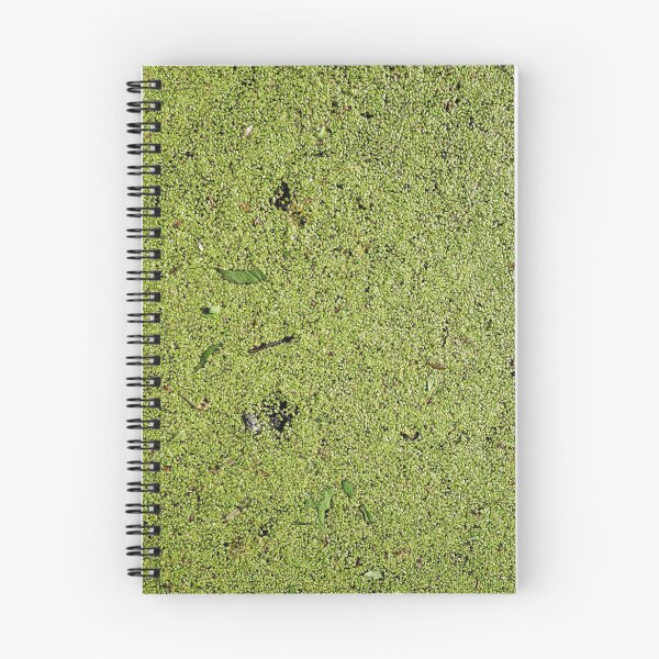 Item preview, Lemna Duckweeds Green designed and sold by ibwr1.