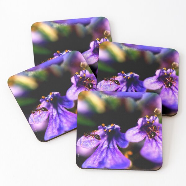 Item preview,   ant photo with high resolution quality designed and sold by Allyouneed-2.