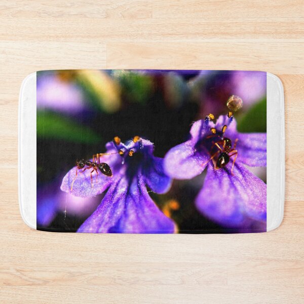 Item preview,   ant photo with high resolution quality designed and sold by Allyouneed-2.