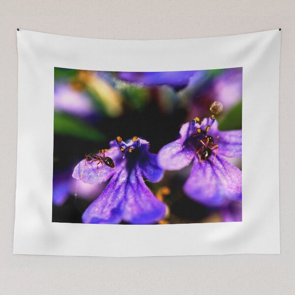 Item preview,   ant photo with high resolution quality designed and sold by Allyouneed-2.