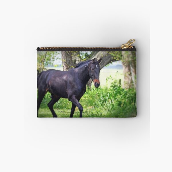 Item preview, "Two Steppin' Charlie" designed and sold by Rosehaven.