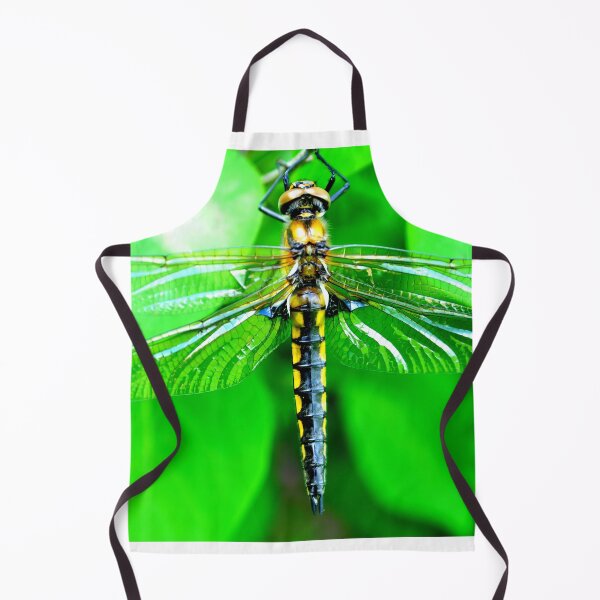 Item preview, Dragonfly photo with high resolution quality designed and sold by Allyouneed-2.