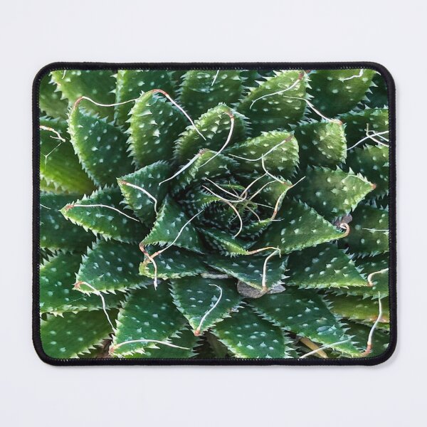 Item preview, Spikey Green Tropical Plant designed and sold by lolagrr.