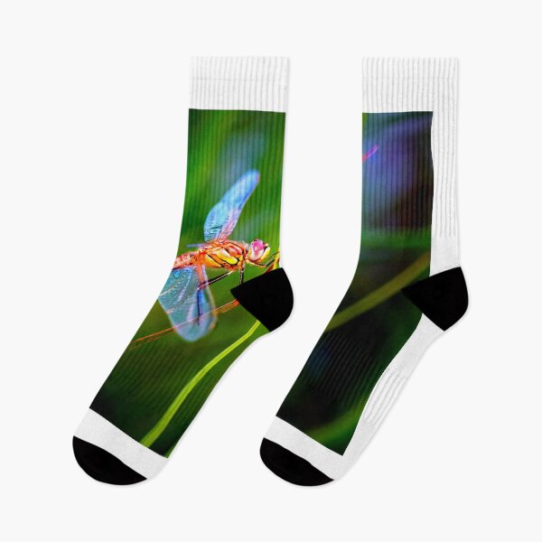 Item preview, Dragonfly photo with high resolution quality designed and sold by Allyouneed-2.