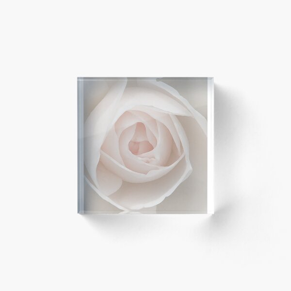 Painted Rose Acrylic Block