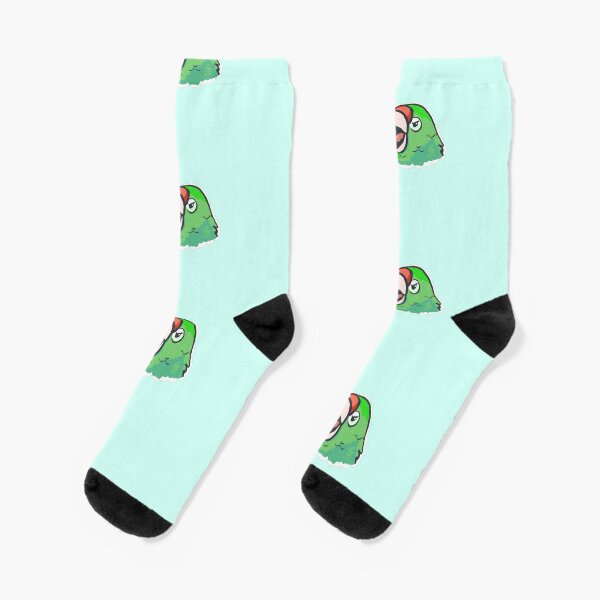 AAA Parrot Socks