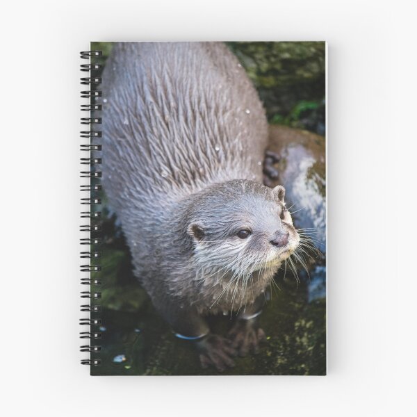Item preview, Sleek and shiny designed and sold by PhotoTiphaine.