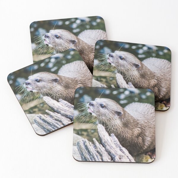 Item preview, Happy otter designed and sold by PhotoTiphaine.