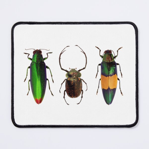Item preview, Bug Beetle Insects Species Coleoptera Beetles Animals Colorful designed and sold by DOM-Shop.