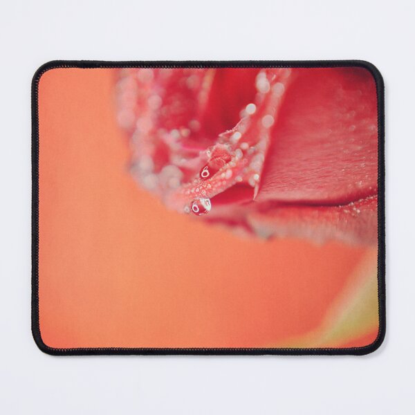 Item preview, Give Up Everything designed and sold by Denise Abé.