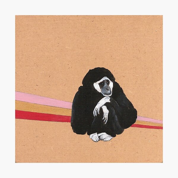 Gibbon Photographic Print