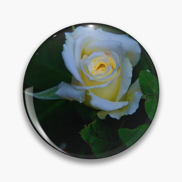 Item preview, A White Rose Aglow For You designed and sold by alabca.
