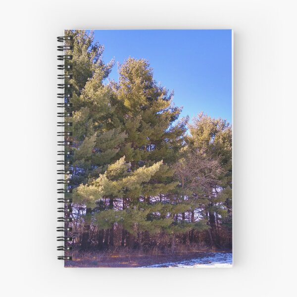 Item preview, All In A Row designed and sold by ElphCreations.