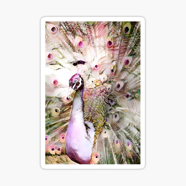 Redreaming Peacock Sticker