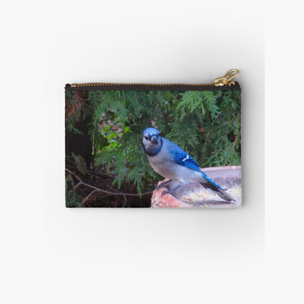 Item preview, Blue Jays and Peanuts, in the garden and the game! designed and sold by MarianBendeth.