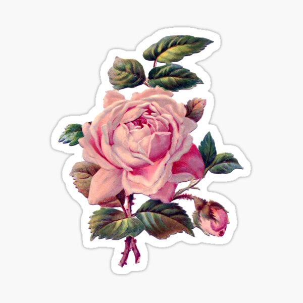 Item preview, Pink Rose designed and sold by Adidit.