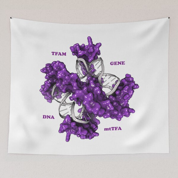 Item preview, a protein that in humans is encoded by the TFAM gene. designed and sold by jojokhworld.