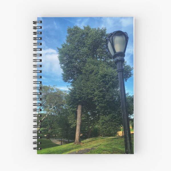 Item preview, Central Park, Manhattan, New York City  designed and sold by eleonoraingrid.