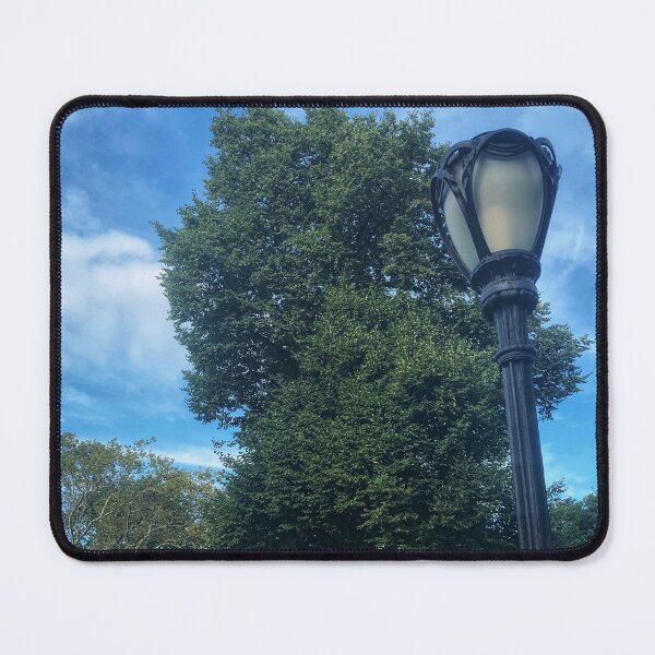 Item preview, Central Park, Manhattan, New York City designed and sold by eleonoraingrid.