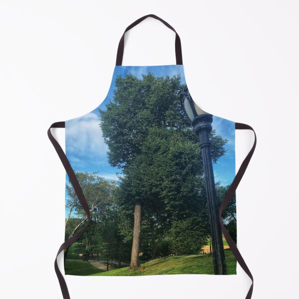 Item preview, Central Park, Manhattan, New York City designed and sold by eleonoraingrid.