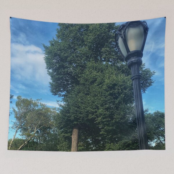 Item preview, Central Park, Manhattan, New York City  designed and sold by eleonoraingrid.