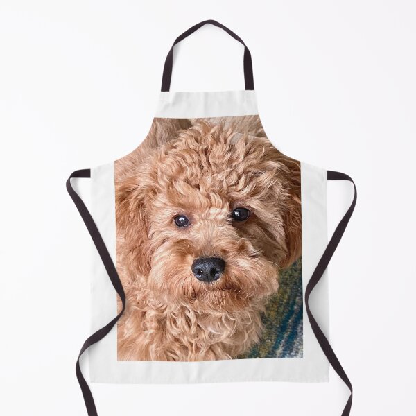 Item preview, Jared designed and sold by BOBBYBABE.