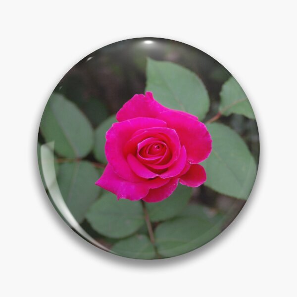 Item preview, Hot pink rose designed and sold by ISMABerry.