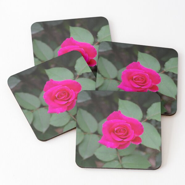 Item preview, Hot pink rose designed and sold by ISMABerry.