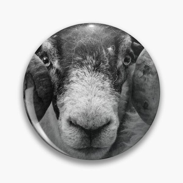 Item preview,  Scottish Blackface Tup designed and sold by KarenMcWhirter.