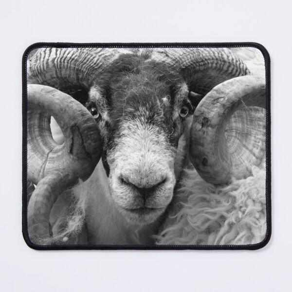 Item preview,  Scottish Blackface Tup designed and sold by KarenMcWhirter.