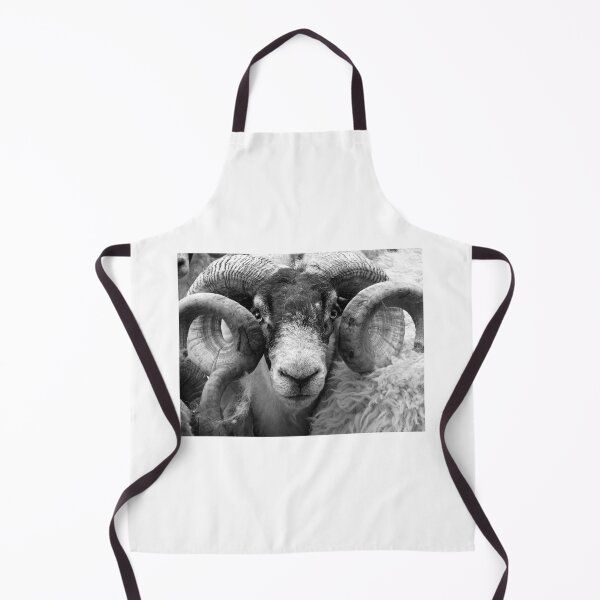 Item preview, Scottish Blackface Tup designed and sold by KarenMcWhirter.