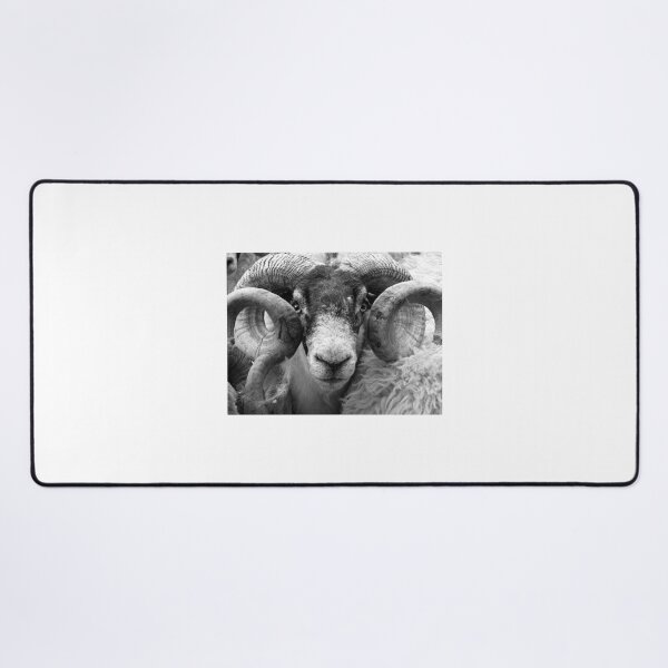Item preview,  Scottish Blackface Tup designed and sold by KarenMcWhirter.
