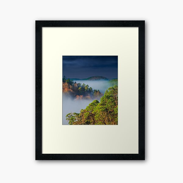 Item preview, Un matin brumeux dans les Vosges designed and sold by Aurélien ZINT.