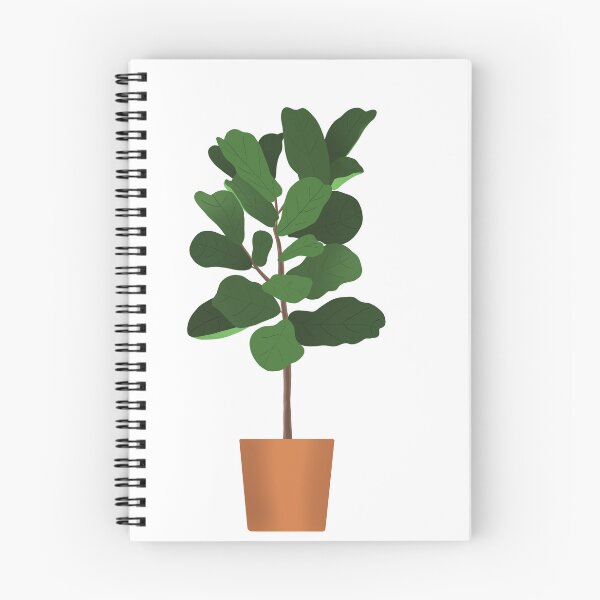 Item preview, Fiddle Leaf Fig designed and sold by plantarchitect.