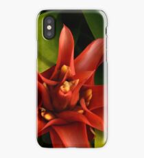 red & green iPhone Case