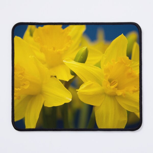 Item preview, Sweet Daffodil designed and sold by Nala.