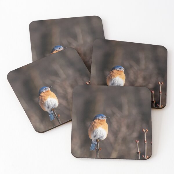 Item preview, blue bird in sun(2) designed and sold by R-York.