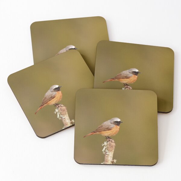 Item preview, Red redstart designed and sold by miradorpictures.